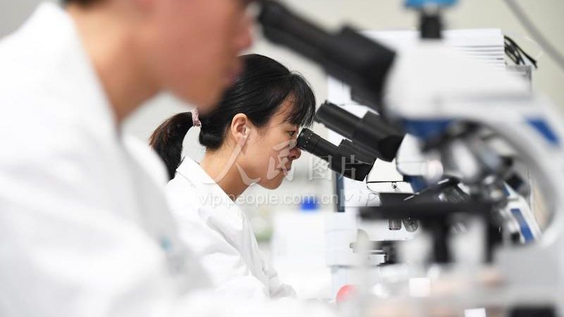 上海生物试剂：如何选择值得信赖的供应商**