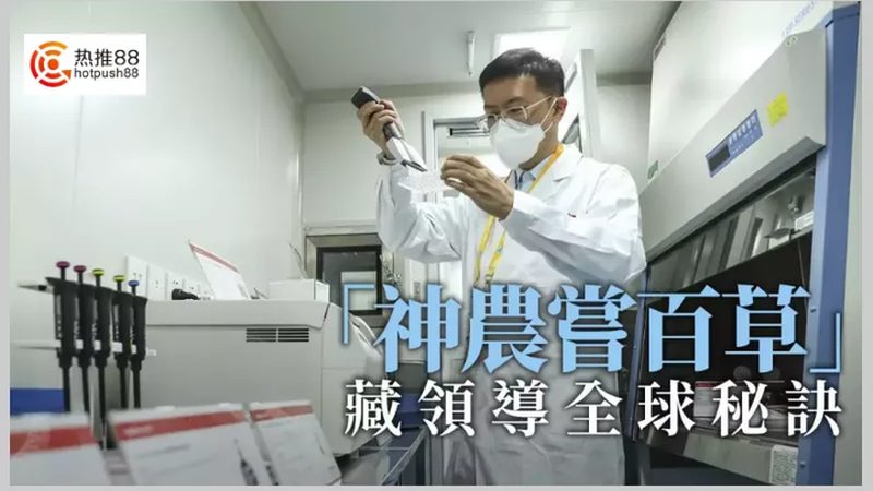 PCR离心管：揭秘其价格背后的秘密