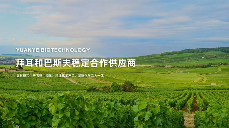 免疫细胞培养基：揭秘其批发价格背后的秘密**