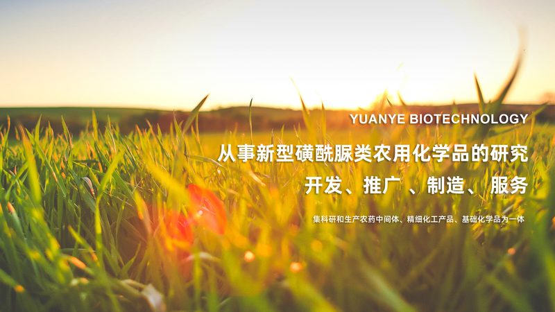 CDMO工艺流程：揭秘制药生产的幕后英雄