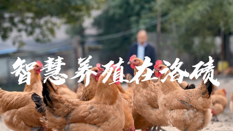 生物医药废水处理设备选型：关键因素与误区解析**