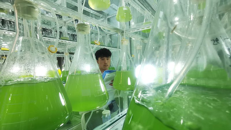 生物医药洁净室净化设备：揭秘其核心技术与选型要点